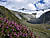 Zemmgrund Naturpark Zillertal